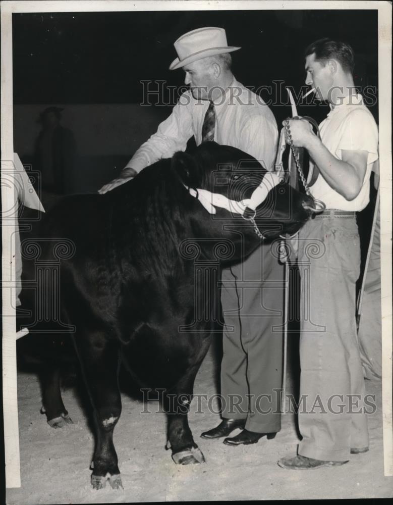 1940 Press Photo Black Joe, an Aberdine-Angus Bull from Wright Farms - Historic Images