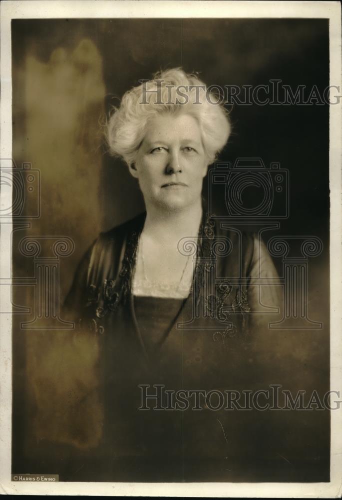 1923 Press Photo Mrs. Robert Lansing - Historic Images