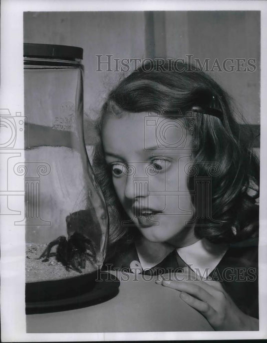 1954 Press Photo Claire Mirrerb Wide Eyed With Wonder Looking At Tarantula - Historic Images