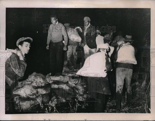 1937 Press Photo Workers Rush To Plug Holes In New Orleans Levees - neb50032 - Historic Images