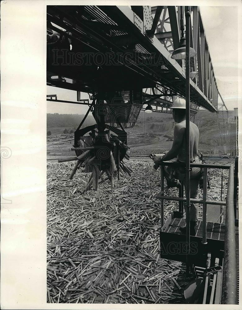 1959 Press Photo Bowaters S. Paper Corp in Tenn. pine tree slash harvested - Historic Images