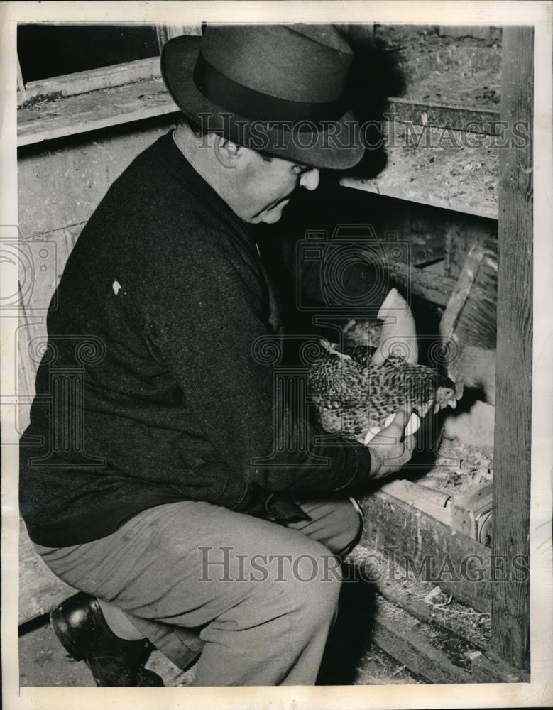 1944 Press Photo Robert Negri starts chicken farm in hotel yard in New York - Historic Images