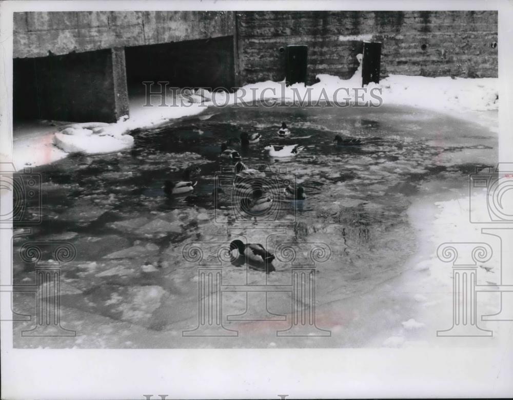 1955 Press Photo Shoker Lakes - Historic Images