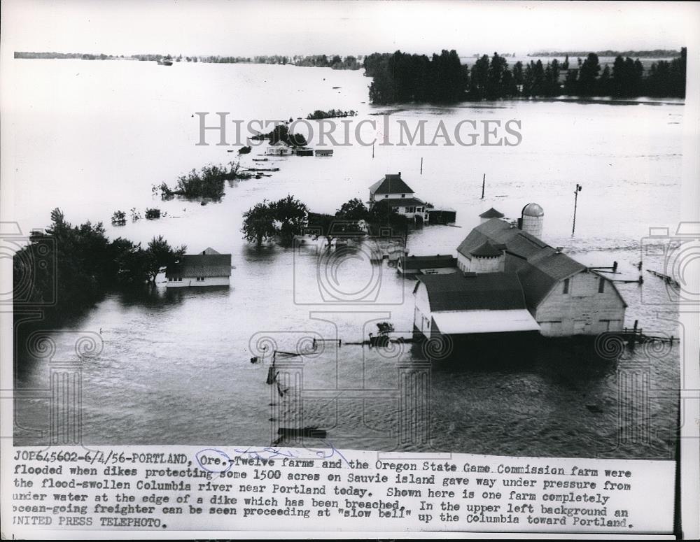 1956 Press Photo Flooded Farms at Oregon state when dikes has been breached. - Historic Images