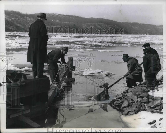 1941 Press Photo rescuers pull buck from icy waters of Hudson River - Historic Images
