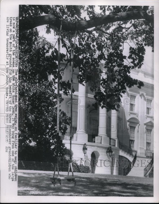 1954 Press Photo D.C. tree swing on the White House lawn for Eisenhower kids - Historic Images