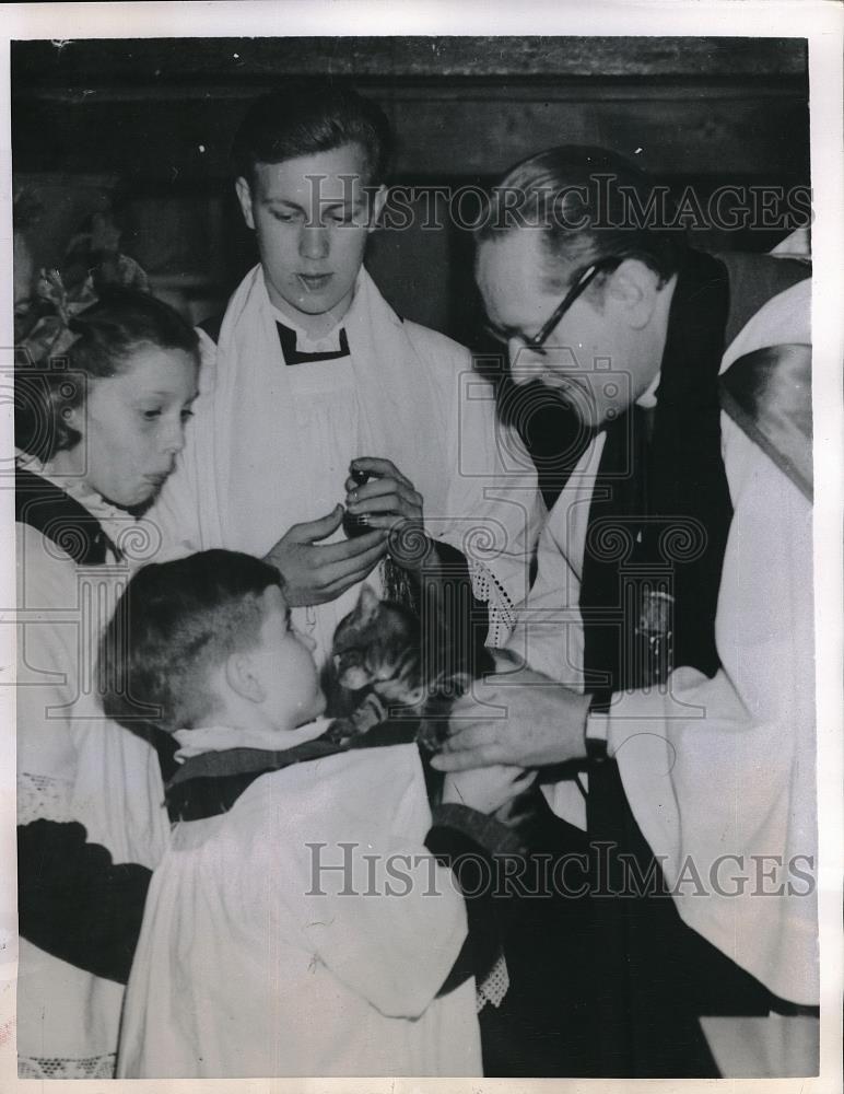1950 Press Photo Kitten Belonging To Choirboy Malcolm Phebey Blessed - Historic Images
