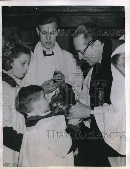 1950 Press Photo Kitten Belonging To Choirboy Malcolm Phebey Blessed - Historic Images