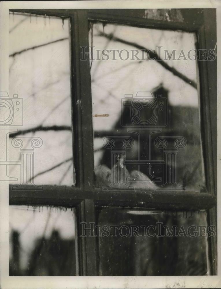 1930 Press Photo A bird perched in window of a Cleveland, Ohio home - Historic Images