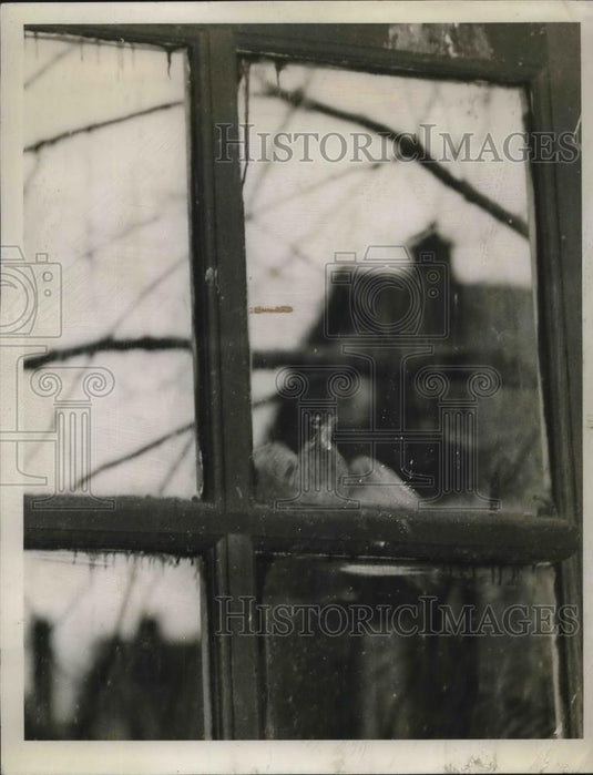 1930 Press Photo A bird perched in window of a Cleveland, Ohio home - Historic Images