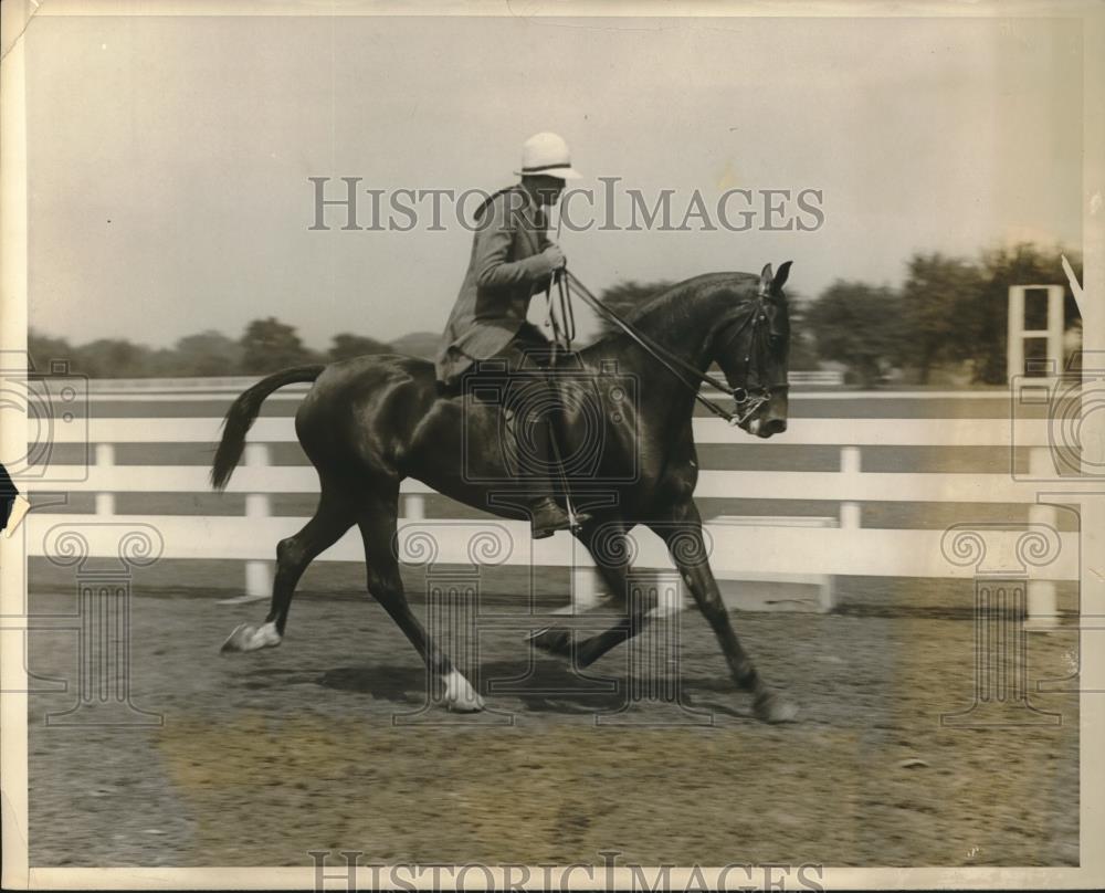 1928 Press Photo Mrs. Charles Mickle Jr. Cathedral horse show - Historic Images