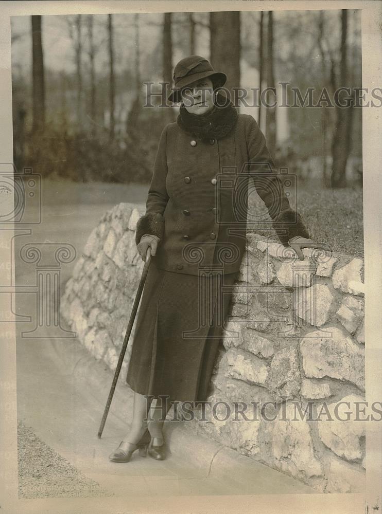 1933 Press Photo Mrs. Arthur O&#39;Brien, Capital Society Leader - Historic Images