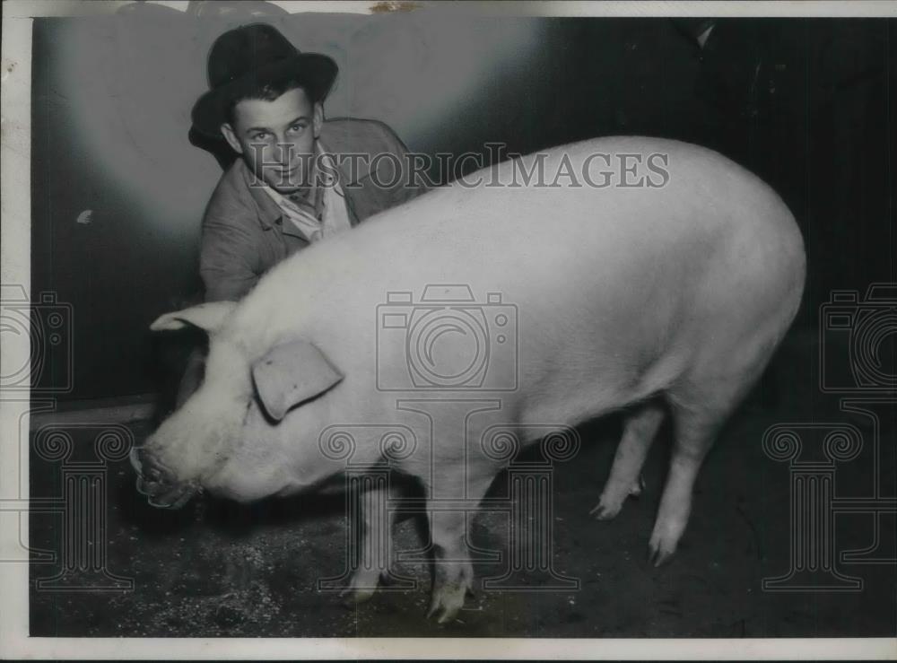 1939 Press Photo Chicago, Aaron Gritzmaker &amp; prize winning pig - Historic Images