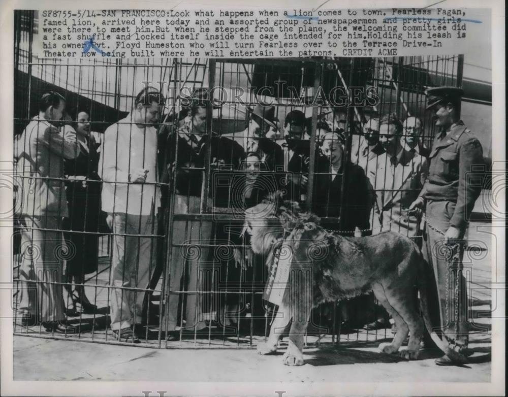 1951 Press Photo Fearless Fagan, lion, with owner Pvt. Floyd Humeston - Historic Images