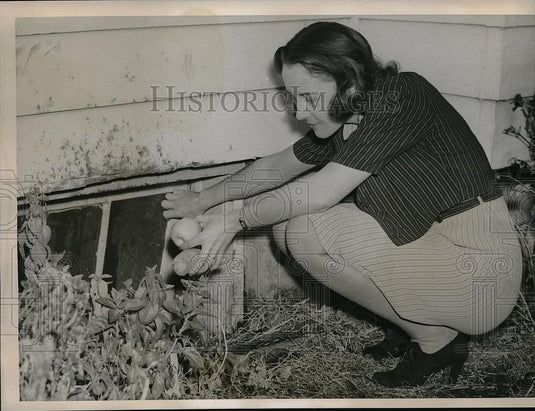 1939 Press Photo Kansas City, Mo Mrs O'Reilly lures skunk from under home - Historic Images