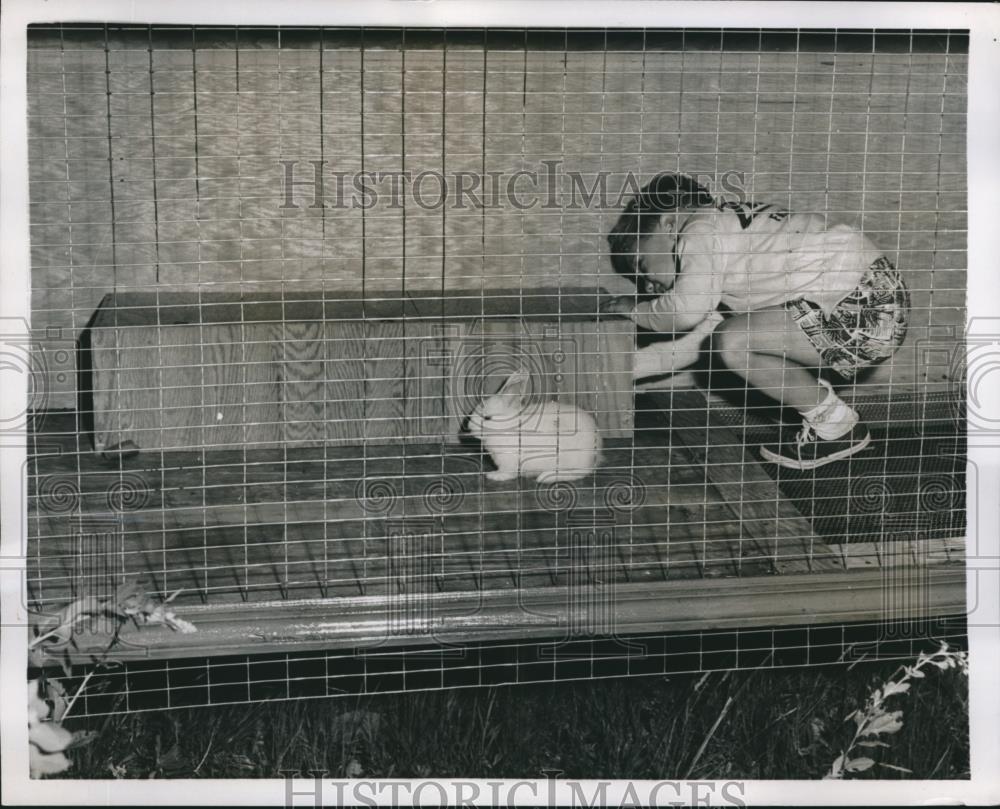 1954 Press Photo tot Eric Redel plays with rabbit at Zeiger Hotel, Fallsburg NY - Historic Images