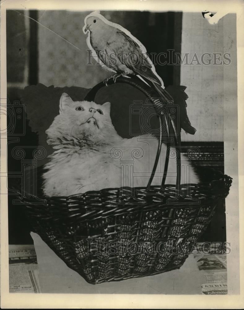 1927 Press Photo Cat In Basket Wants To Eat Paper Bird - Historic Images
