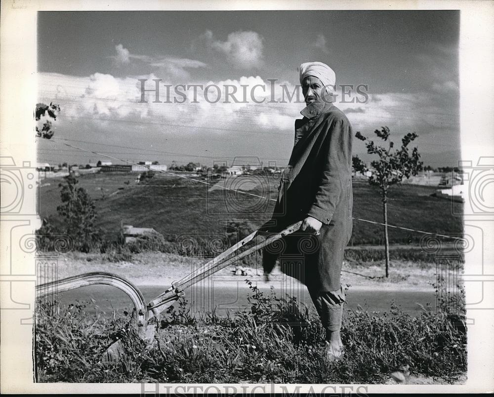 1943 Press Photo A native Algerian farmer at work outside Algiers - Historic Images