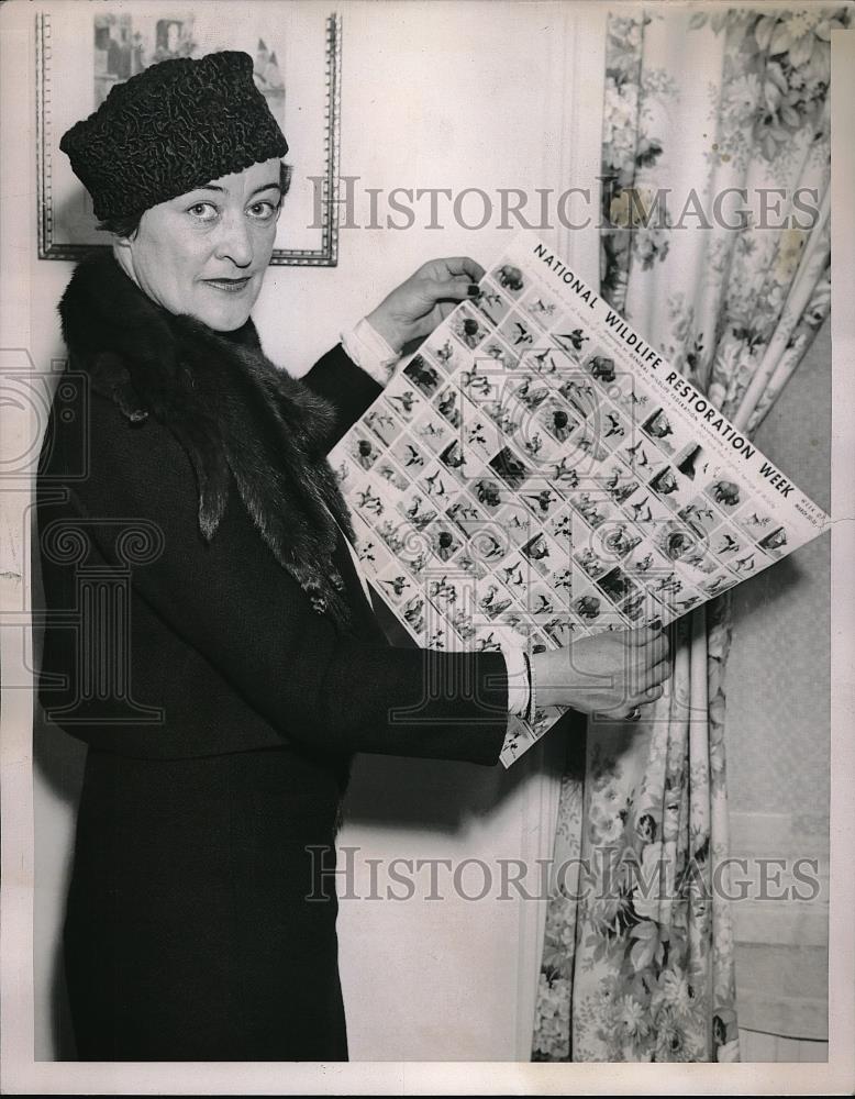 1938 Press Photo Mrs. C.H. Sayre Glen Head Long Island Looking At Stamps - Historic Images