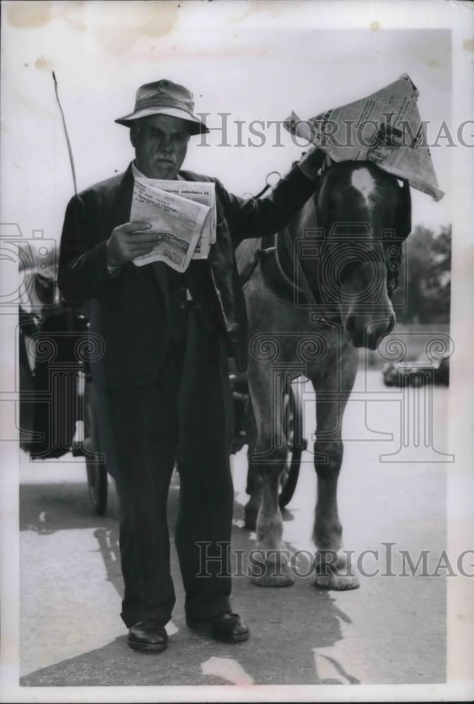 1951 Press Photo Monsieur Leon Shades Horse From Sun in Paris - Historic Images