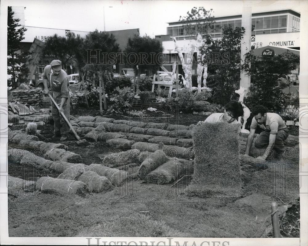 1957 Press Photo Rome, Italy instant lawn laid for a fair - Historic Images