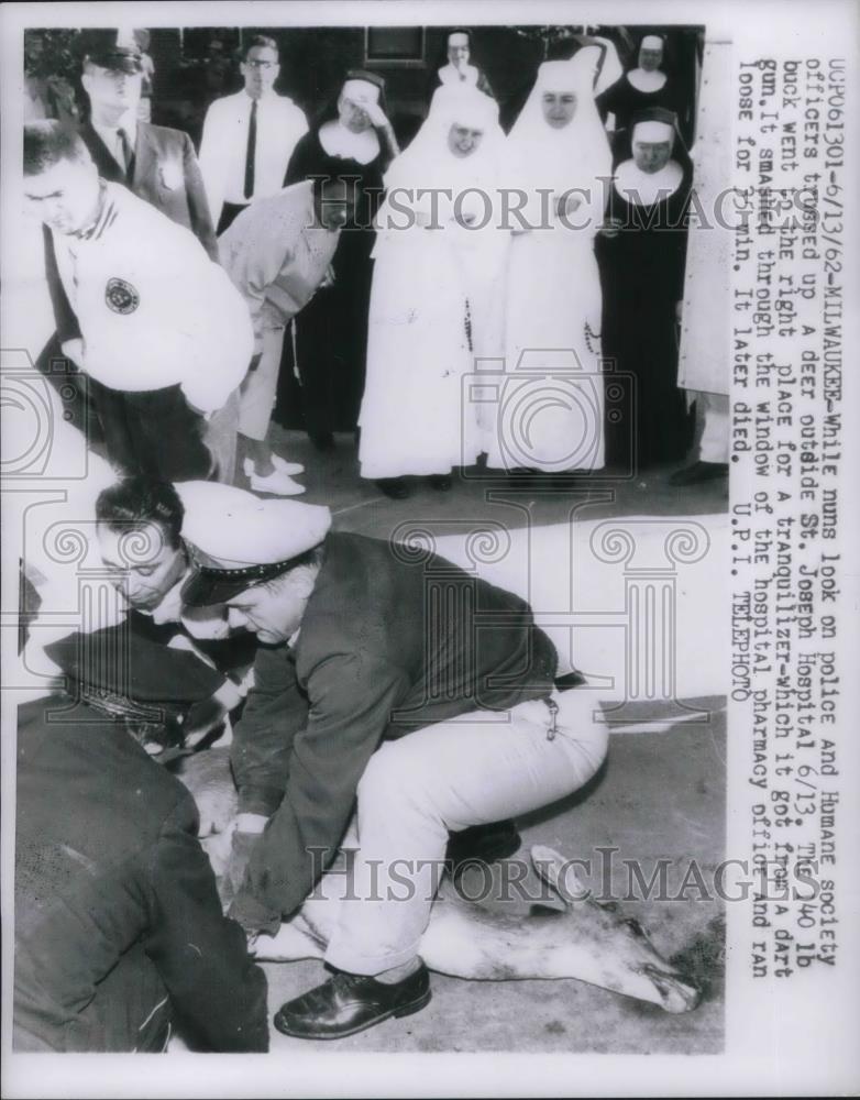 Nuns Watching as Police Capture Deer at St. Joseph Hospital 1962 ...