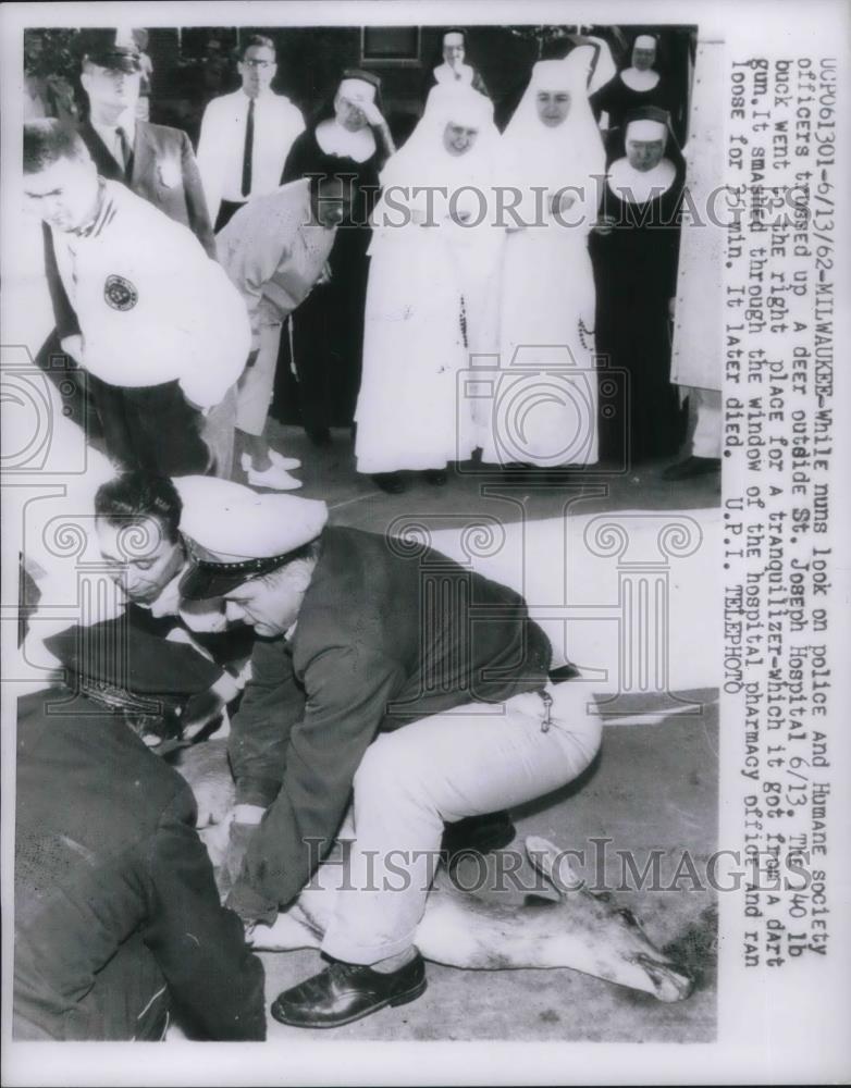 1962 Press Photo Nuns Watching as Police Capture Deer at St. Joseph Hospital - Historic Images