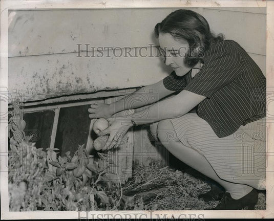 1939 Press Photo Kansas City, Mo. Mrs GA O'Reilly tries to lure shunk from home - Historic Images
