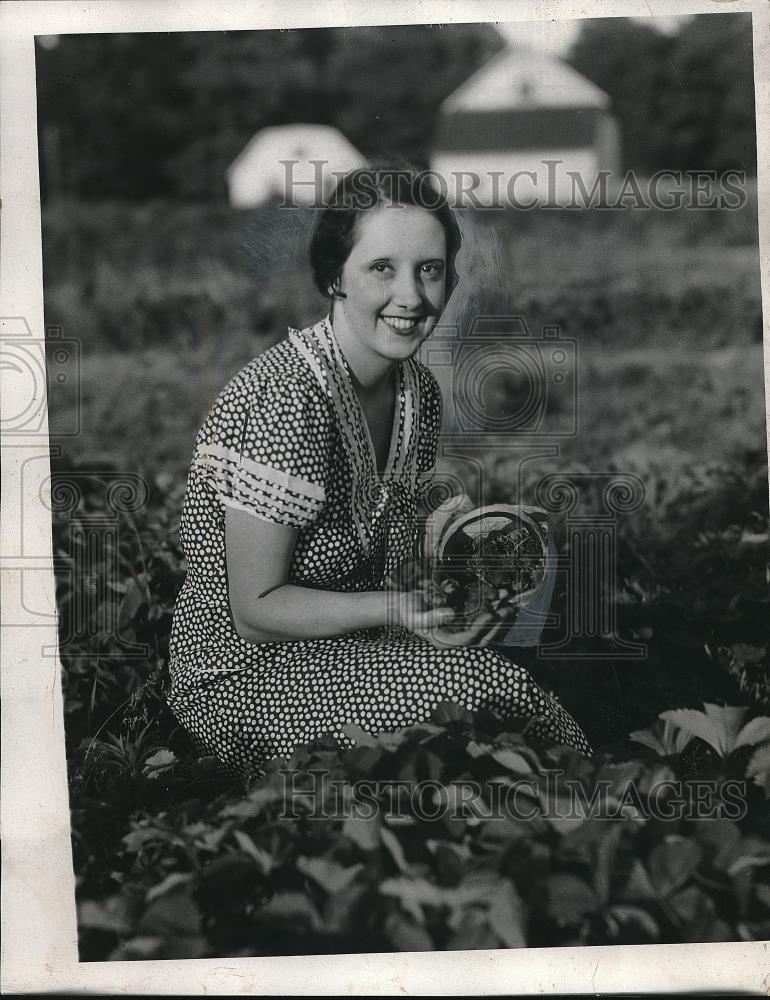 1938 Press Photo Mrs. Orin picking food from her garden on North Olmsted - Historic Images