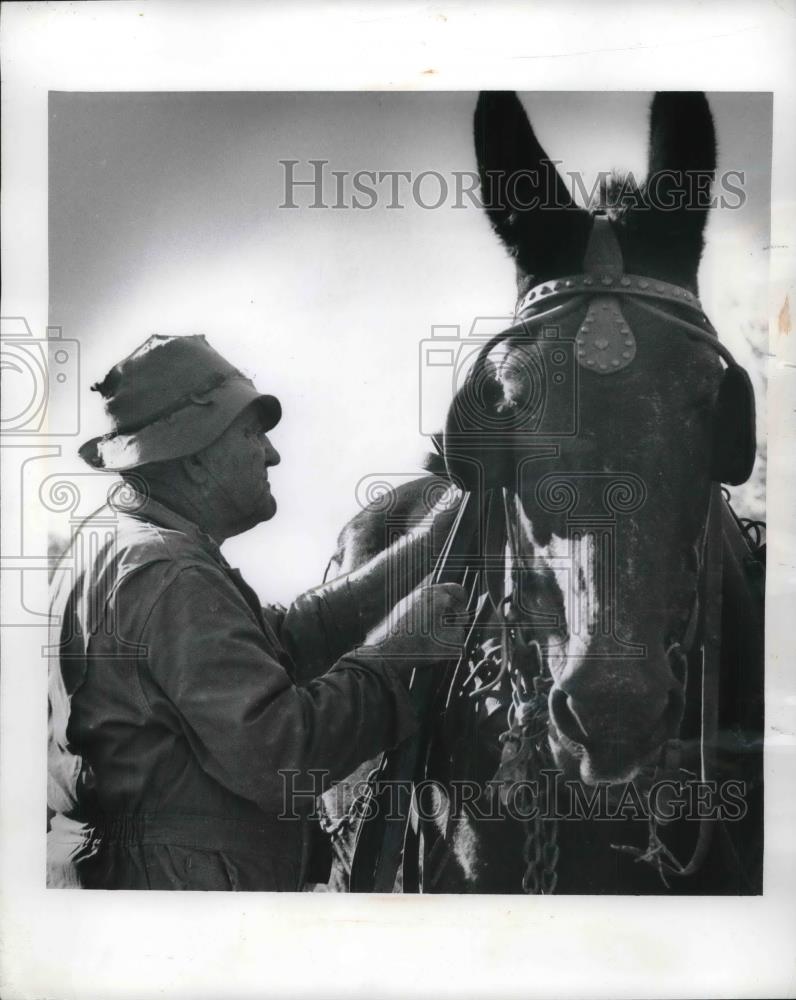 1969 Press Photo Willie Schaffer, Hilton Va. Farmer load a Fodder. - neb57776 - Historic Images