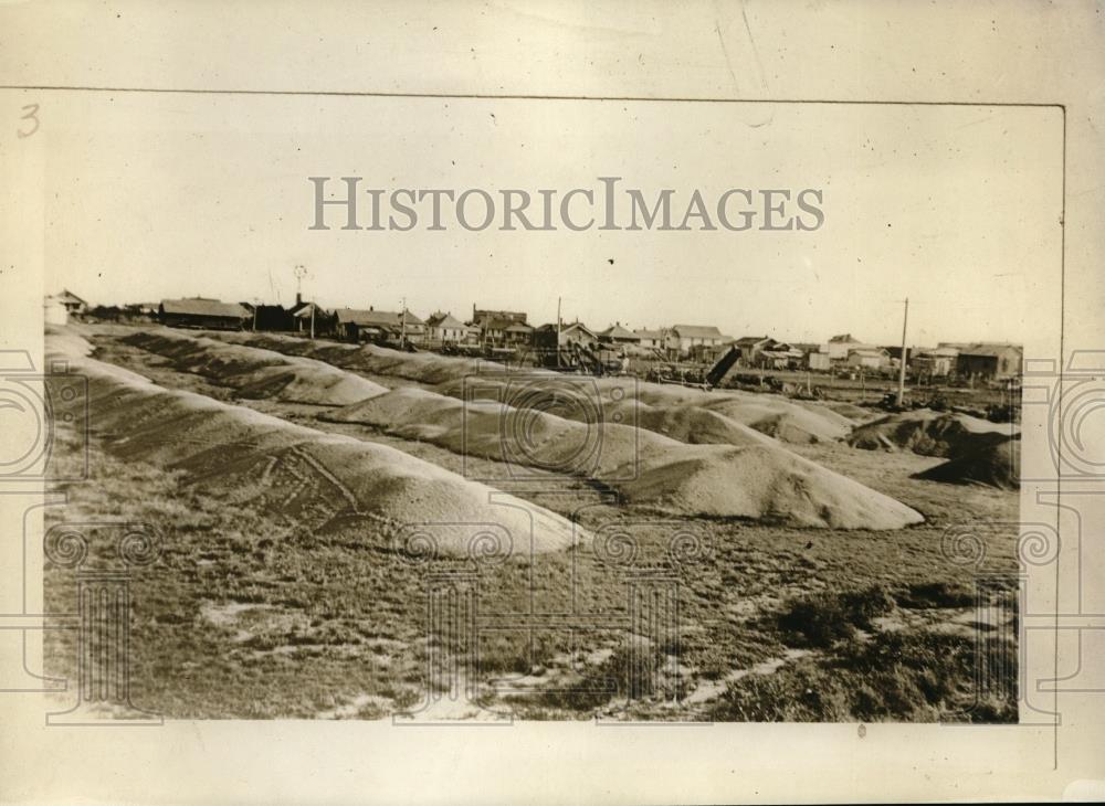 1926 Press Photo Southern Kansas pile of wheat wont fit in silos - neb60905 - Historic Images