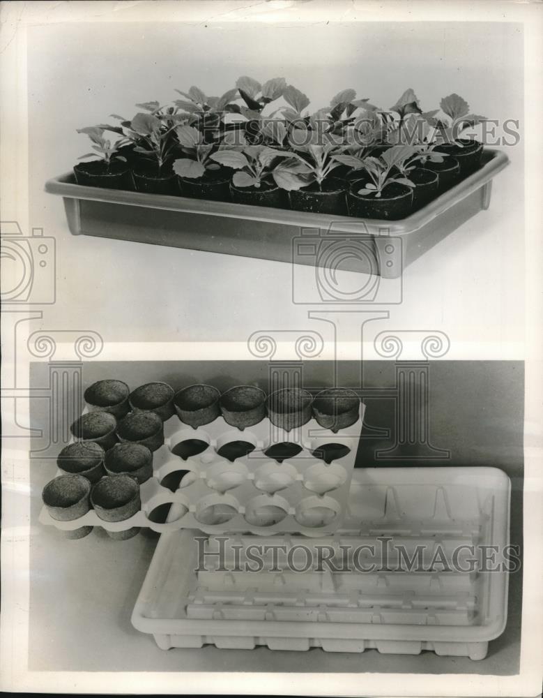 1962 Press Photo Jumbo Port-A-Planter for Bedding Plants - neb65157 - Historic Images