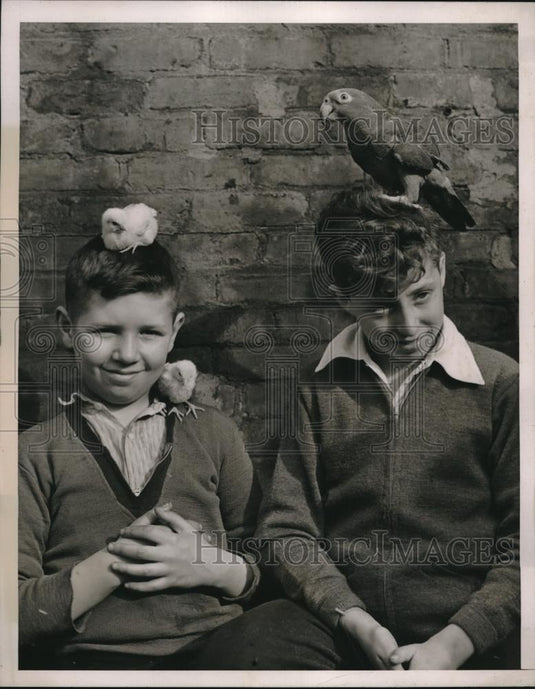 1938 Press Photo Walter Samborsky & Pet Chick, Carmelo Blundo & Pet Parrot - Historic Images