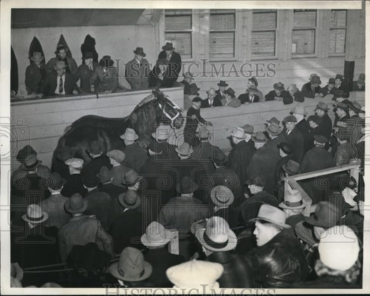 1942 Press Photo Union Stockyards Chicago Illinois Auction Of Horses - neb64997 - Historic Images