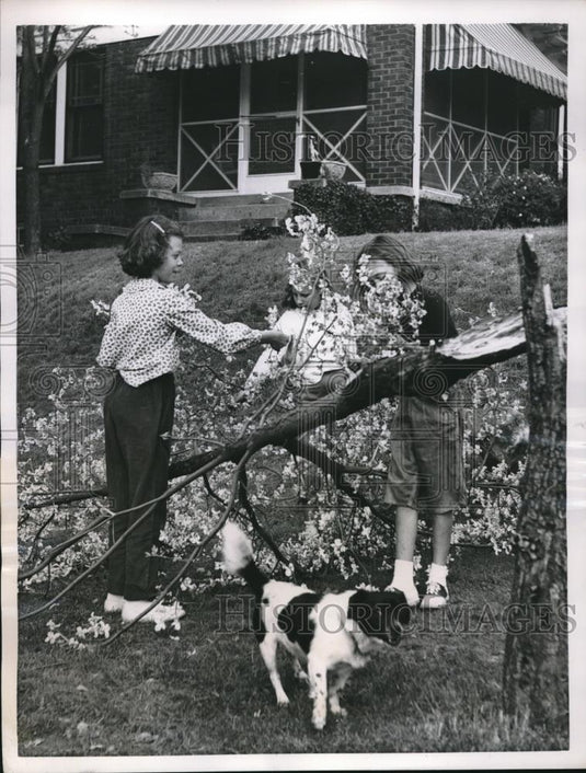 1957 Press Photo Atlanta, Ga two children & their dog with dogwood tree - Historic Images