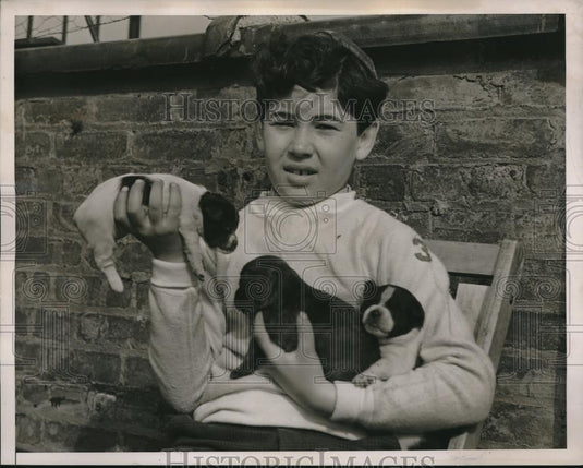 1938 Press Photo Murray Schwartz & a litter of puppies - neb63938 - Historic Images