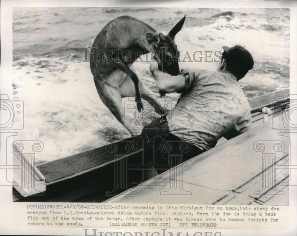 1959 Press Photo Milwaukee, wis. Coast Guard rescue of deer from the ice on lake - Historic Images