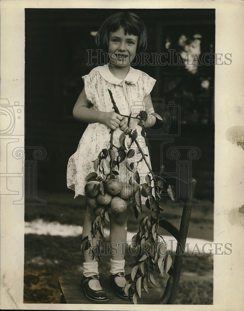 1930 Press Photo little Murieal Donner w/ pear tree limb from Laura Hill&#39;s yard - Historic Images