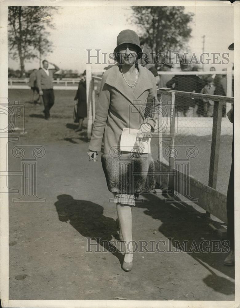 1929 Press Photo Mrs. Bernard F. Gimbel at Horse Show, Mineola, Long Island - Historic Images