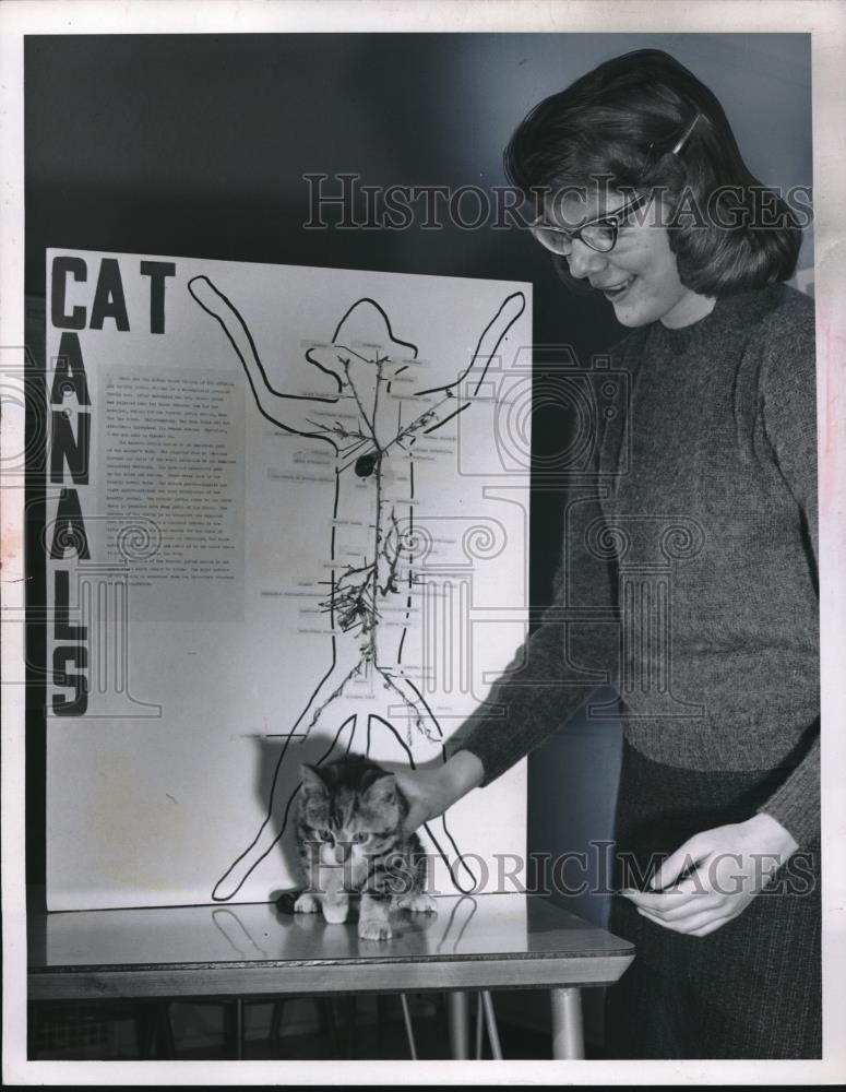 1960 Press Photo Joanie Witzman &amp; a cat for a demonstration - neb66068 - Historic Images