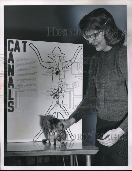 1960 Press Photo Joanie Witzman & a cat for a demonstration - neb66068 - Historic Images