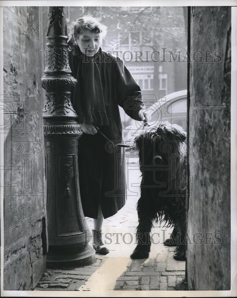 1959 Press Photo Dog Bozo W/Owner End Of Trumpet Alley 7th Of 8th St Amsterdam - Historic Images