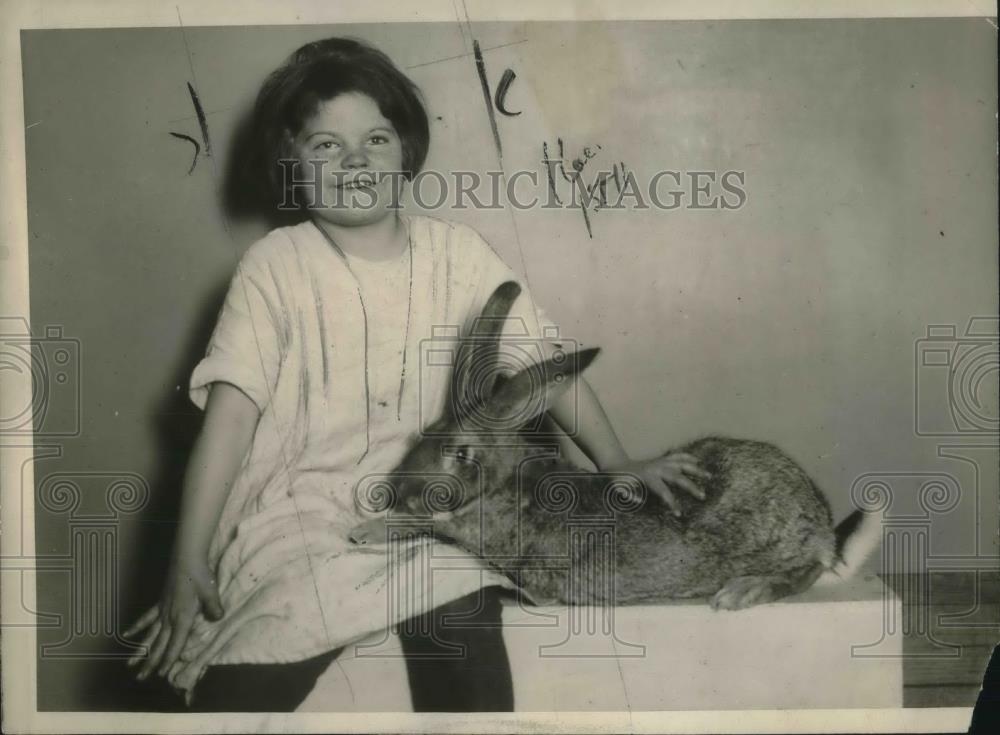 1922 Press Photo Alice Faulkner & her Flemish prize winning bunny - Historic Images