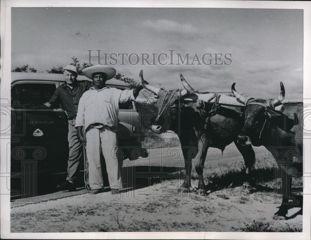 1953 Press Photo Karl Kling Mexican Oxcart Driver - Historic Images