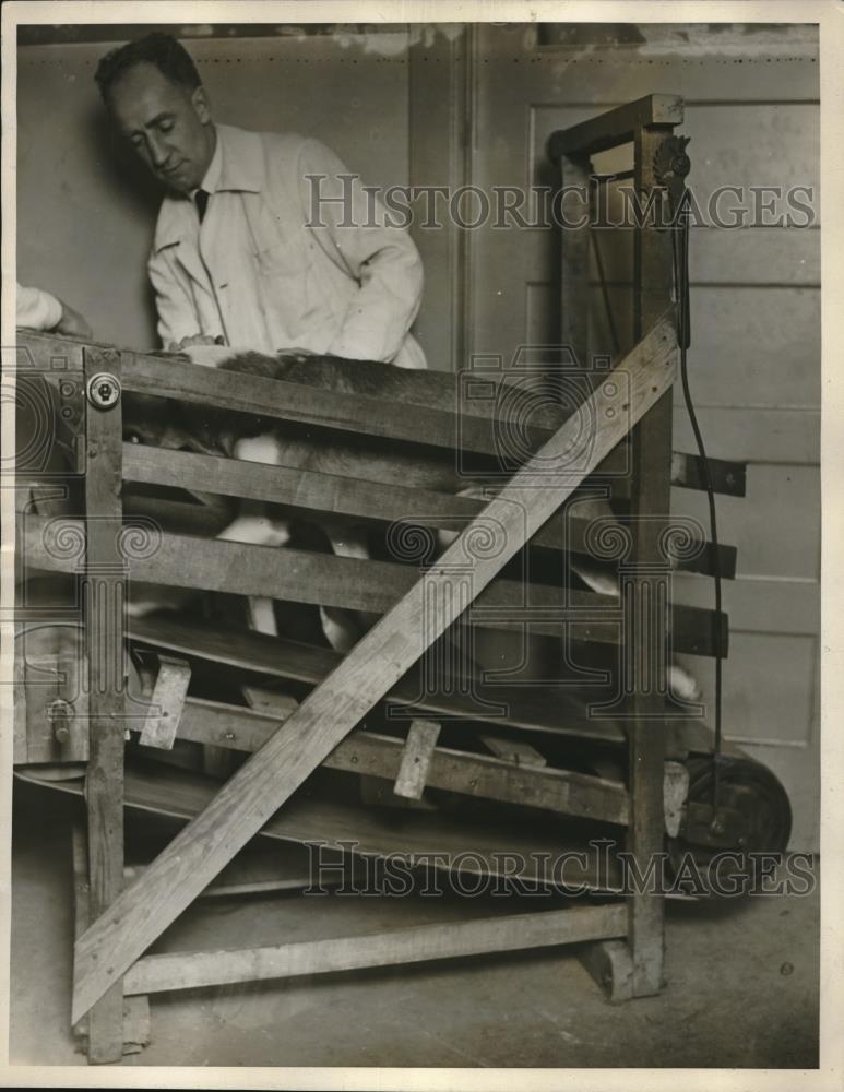 1927 Press Photo Thomas A. Jenkins with &quot;Lop&quot; as a subject - Historic Images