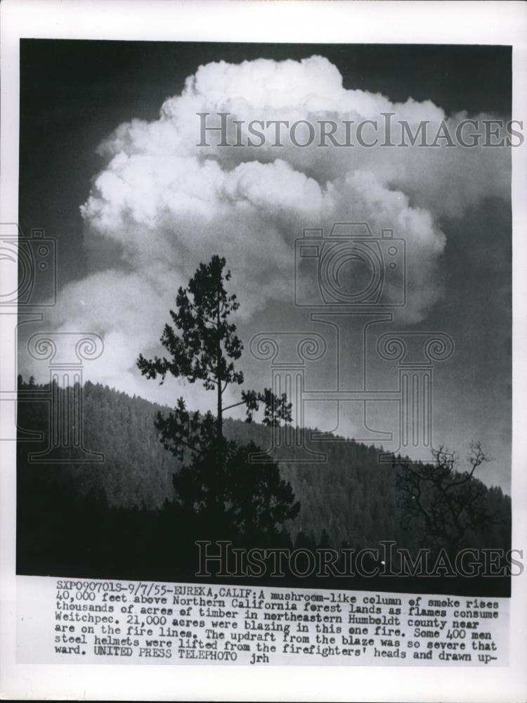 1955 Press Mushroom like column of smoke rises 40,000 forest fire Northern CA - Historic Images