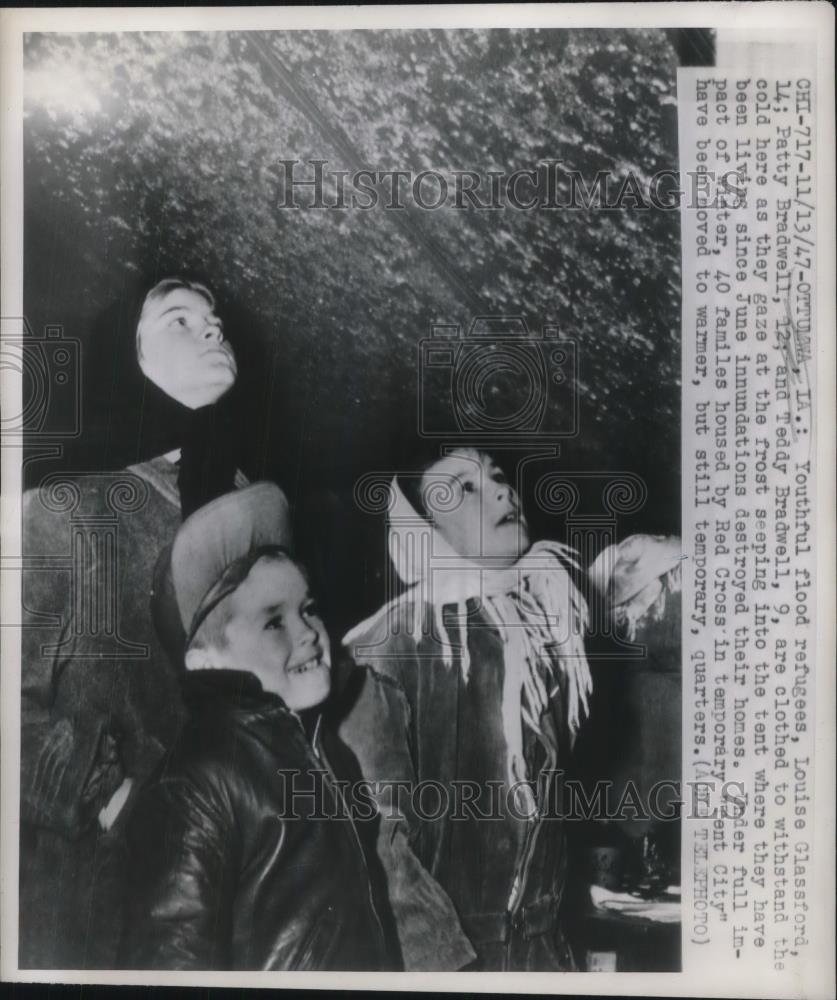 1947 Press Photo Flood refugees, Louise Glassford, Patty Bradwell &amp; Teddy - Historic Images