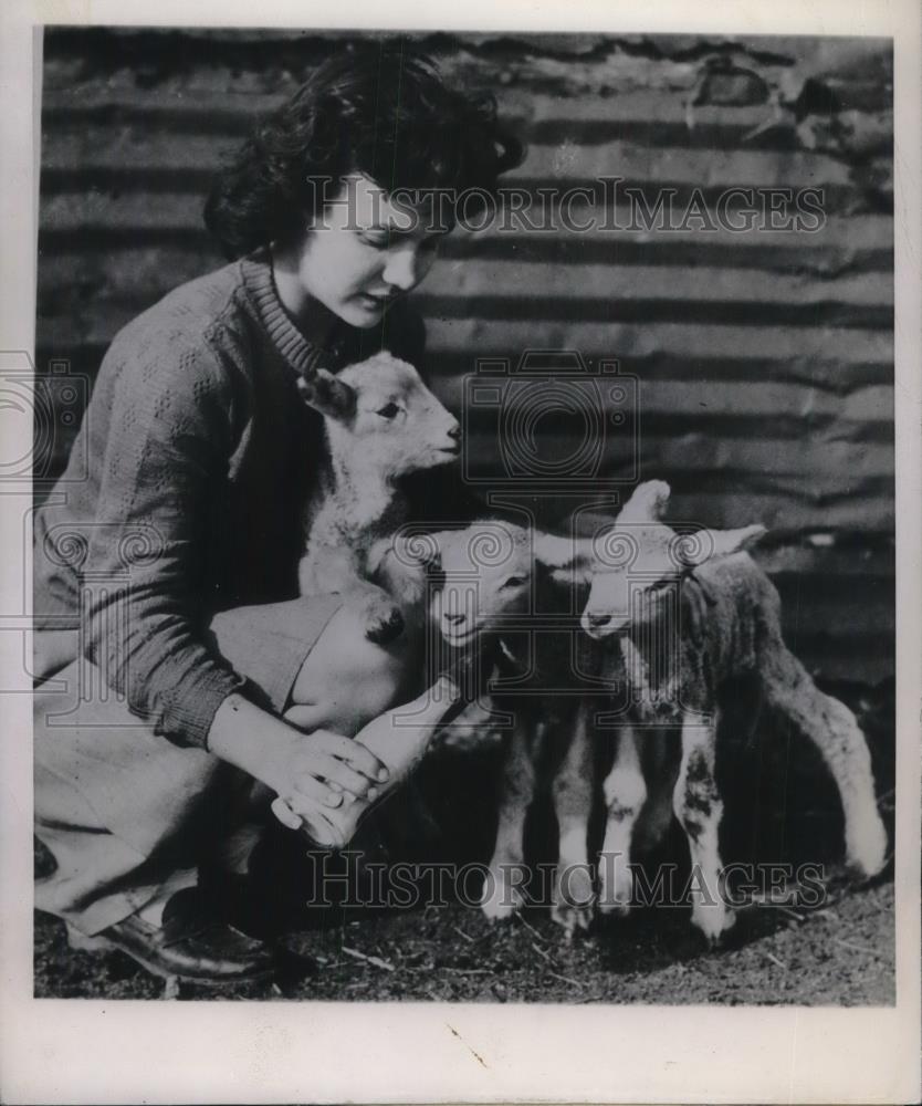 1945 Press Photo Sue Smith of Cheyenne Wyoming with 2 Sets of Triplet Lambs - Historic Images