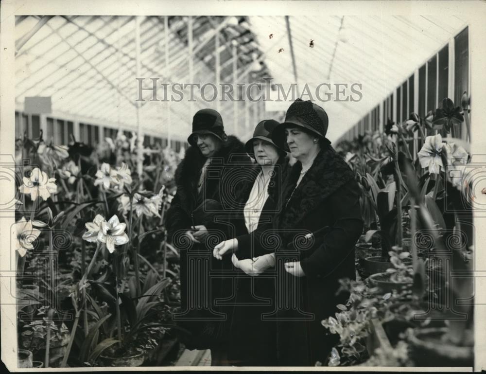 1931 Press Photo D.C. Mrs A Hyde, Mrs RW Dunlap,Mrs W Doak at flower show - Historic Images