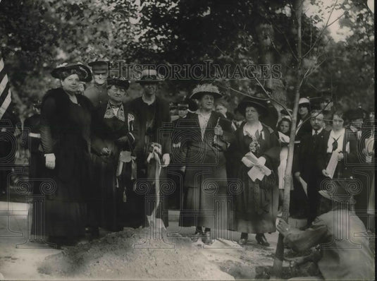 1920 Press Photo District of Columbia Federation of Women's Club Plant Tree - Historic Images